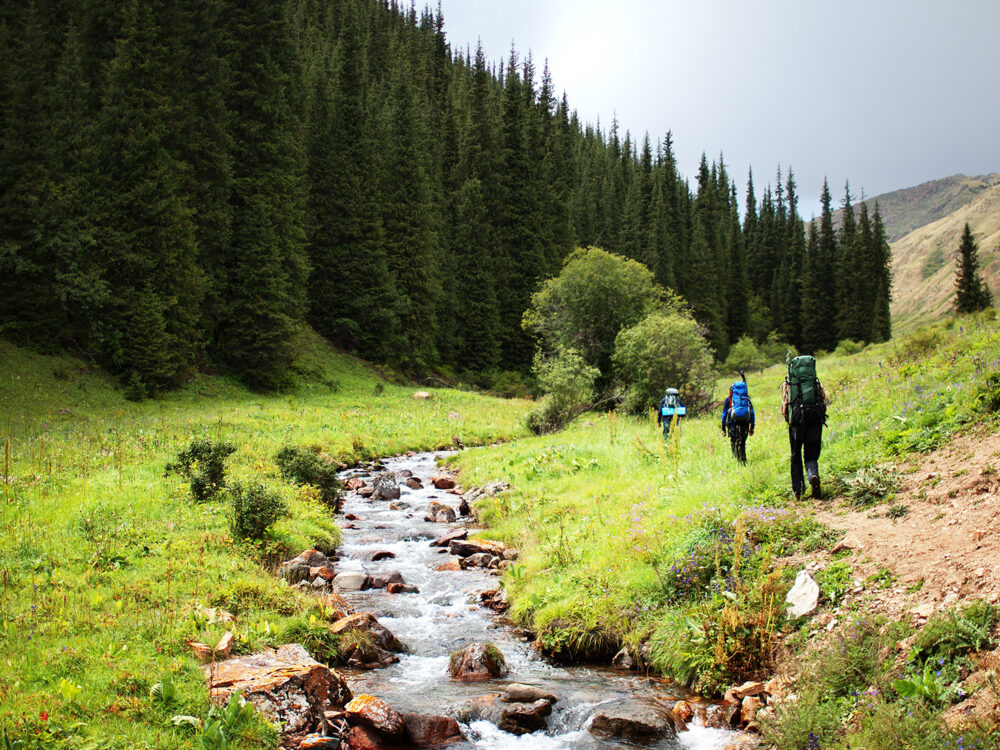albertin-hiking-header-05